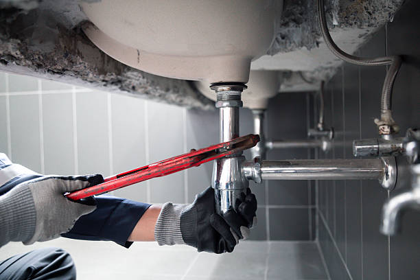 Licensed Garbage Disposal Repair service in Barrington, IL - Street Wise - Plumbing